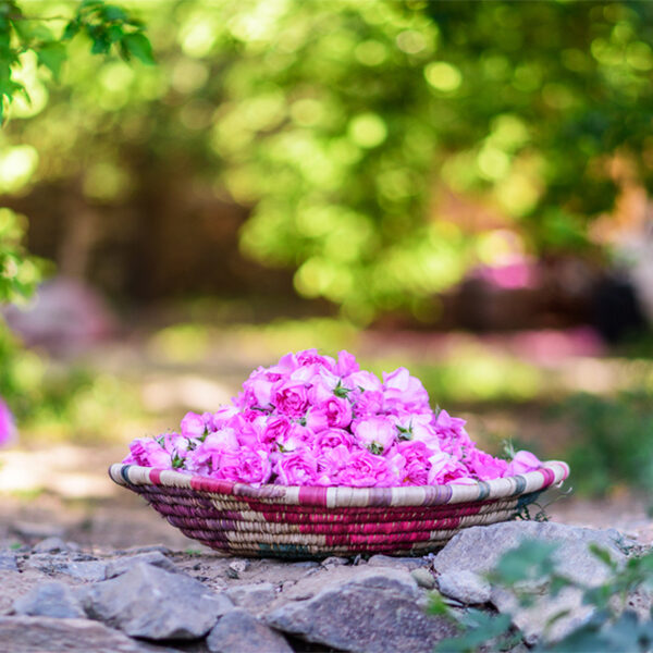 جشن‌ های محلی کاشان