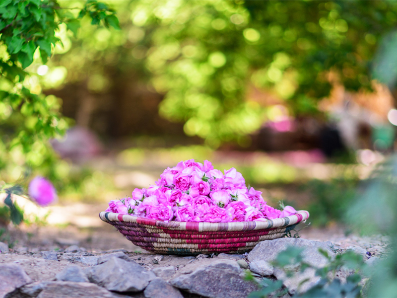 جشن‌ های محلی کاشان